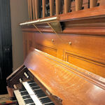 Custom mounted tracker organ lamp